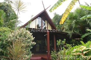 Coconut Grove 14